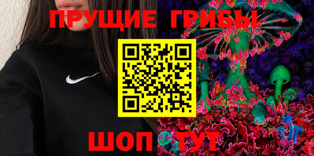 Псилоцибиновые грибы GOLDEN TEACHER  Вход с VPN  Камышин  Галлюциногенные грибы Psilocybine cubensis 