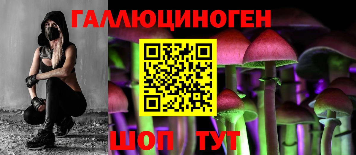 Галлюциногенные грибы GOLDEN TEACHER Камышин